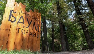 Активисты запускают петицию против действий акимата Алматы