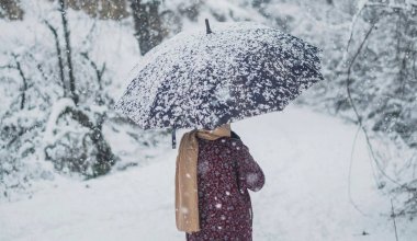 Какая погода прогнозируется в Астане, Алматы и Шымкенте