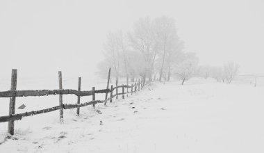 Снег, ветер и гололёд: в каких регионах Казахстана объявили штормовое предупреждение