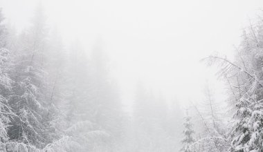 Туман, снег и сильный ветер: синоптики предупредили казахстанцев