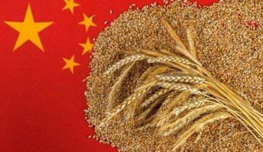 Китай направит свыше 500 млн долларов на строительство завода в Казахстане