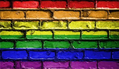 Мажилис одобрил запрет ЛГБТ-пропаганды в Казахстане