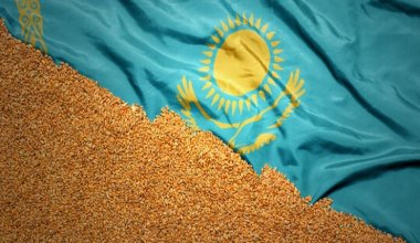 Токсины и грибки? Казахстанскую пшеницу проверили за рубежом