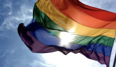 Запрет пропаганды ЛГБТ: где правовая загвоздка? Мнение юриста