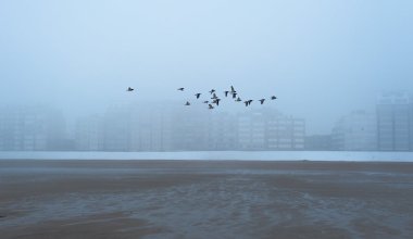 Туман и сильный ветер: синоптики предупредили 17 регионов Казахстана