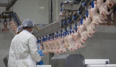 Казахстан ответил на претензии соседей по качеству мяса птицы