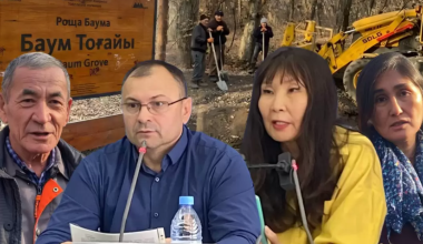 Вырубят ли 10 тысяч деревьев? Что будет с рощей Баума в Алматы