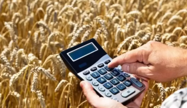 Экспорт казахстанского зерна нового урожая превысил 2,5 млн тонн