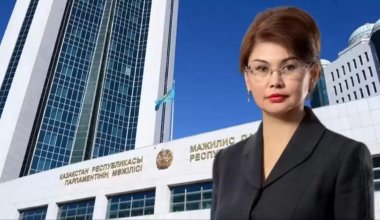 Министр Балаева заступилась за блогера, призывающего бойкотировать концерт Тимати