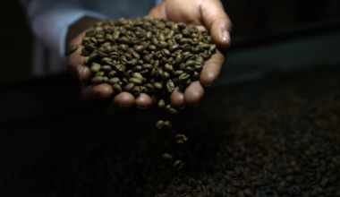 Трамп отменил пошлины на говядину и кофе из Бразилии