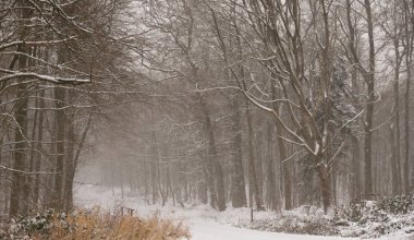 Туман, метель и гололёд: в каких регионах объявили штормовое предупреждение