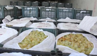 Овощи и фрукты из Казахстана не прошли российскую проверку