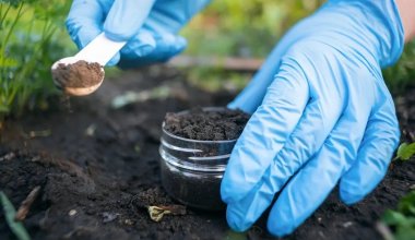 Учёные рассказали о главной особенности казахстанской земли