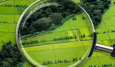 Новый запрет на строительство принят в Алматы