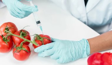 Опасный вирус обнаружили в казахстанских помидорах