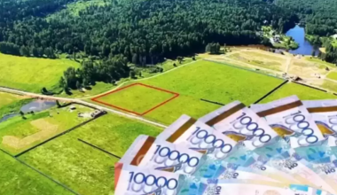 Только Сатыбалды: аким назвал одну фамилию из тех, кто лишился земель в Алматинской области