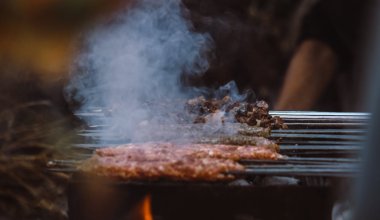 Жители алматинского ЖК пожаловались на дым и шум от шашлычных