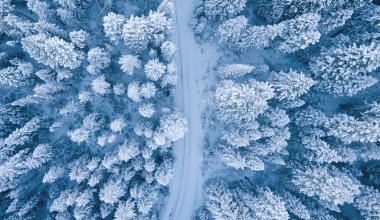 Какая погода ожидается в Казахстане в ближайшие дни