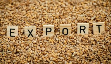 Казахстану прочат исторический рекорд в АПК