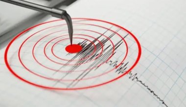 Сильнейшее за год землетрясение произошло на севере Японии