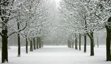 По всему Казахстану объявили штормовое предупреждение