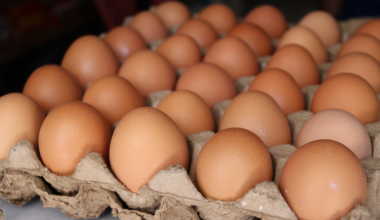 Казахстан запретил импорт свежих куриных яиц