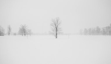Во время бурана в ЗКО насмерть замёрзли три человека