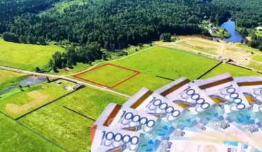 Земельные участки на 2,2 млрд тенге вернули государству в Акмолинской области