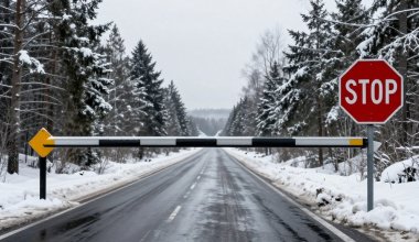 Казахстанских водителей предупредили о "зимнем" штрафе до 86 тыс. тенге