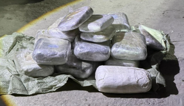 Более 30 кг наркотиков нашли у иностранца на границе в Жамбылской области