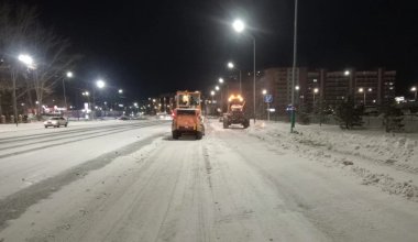 Экологи рассказали, как снег с солью разрушают почву и деревья в ВКО