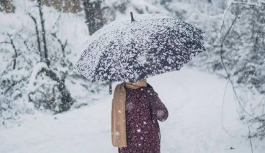 Снег и мороз: какая погода ожидается 21 декабря в Казахстане