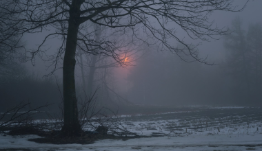Туман, метель и гололед ожидаются в большинстве регионов Казахстана