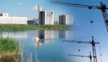 Аллея вместо экопарка: почему акимат Астаны не торопится озеленять Малый Талдыколь