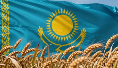 Токсины: скандал вокруг казахстанской пшеницы не утихает в Армении