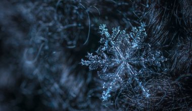 В каких регионах Казахстана объявили штормовое предупреждение на Рождество