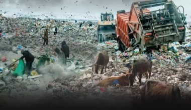 Как чиновники приукрашивают переработку мусора в Казахстане