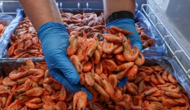 Вслед за бананами Казахстан наладил экспорт ещё одного "экзотического" продукта