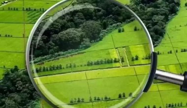 Принудительного изъятия земель опасаются казахстанские аграрии