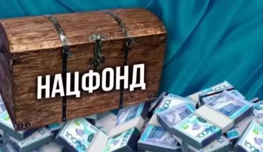 Больше 28 млн долларов из Нацфонда потратили казахстанцы