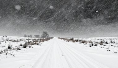 Специалисты предупреждают: некоторые трассы закрыли в Казахстане