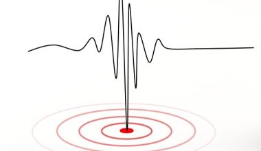 Землетрясение произошло на юге Казахстана