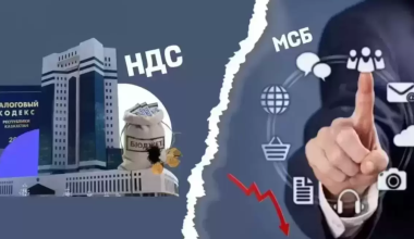 Новый Налоговый кодекс "закроет" определенные ИП в Казахстане