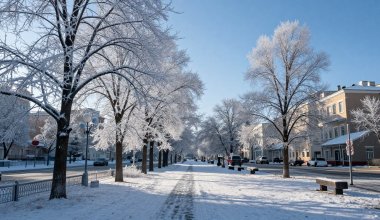 До 15 градусов мороза ожидается в Казахстане 10 января