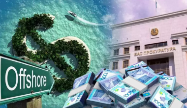 Сотни тысяч га земель в предгорьях и на побережье Каспия забрали у олигархов в 2025 году