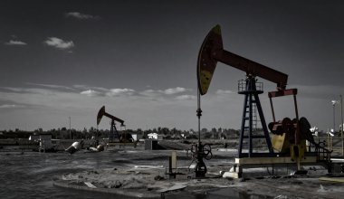 Сельчане выступили против нефтеразведки на западе Казахстана