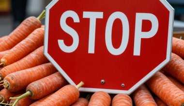 "Фермеры разорятся": названы тяжёлые последствия запрета на экспорт овощей