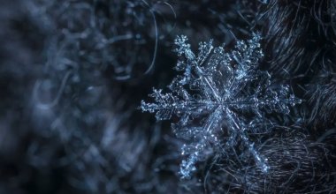 Казахстан накрывает холод: где 14 января ждут метели, туман и гололёд