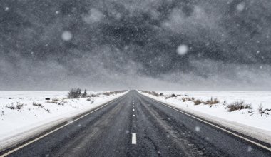 Иностранцы оказались заложниками непогоды в Казахстане