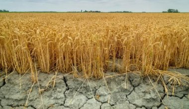 Дефицит воды ожидается в ближайшие месяцы в Кыргызстане